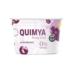 Yogurt Cremoso Arándanos 170g – Quimya